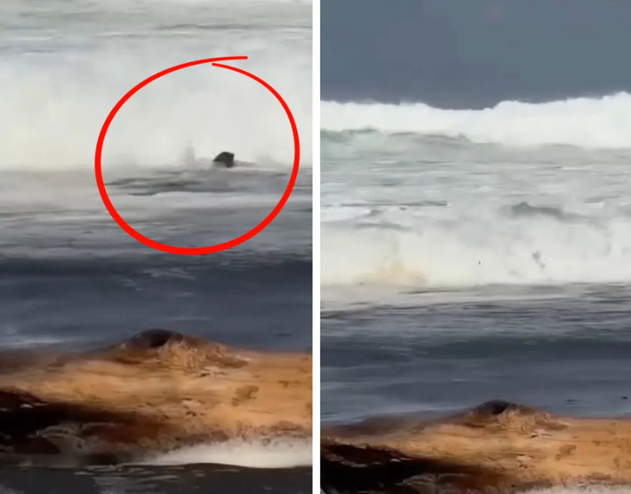 Fenomenin içerik çekimi faciaya dönüştü! Dev dalgalar saniyeler içinde yuttu