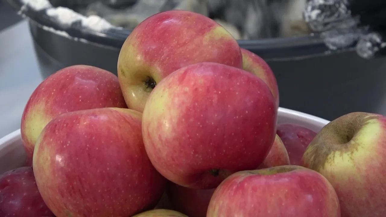 Gaziantepli ustaları kızdıracak lezzet: Elmalı baklava