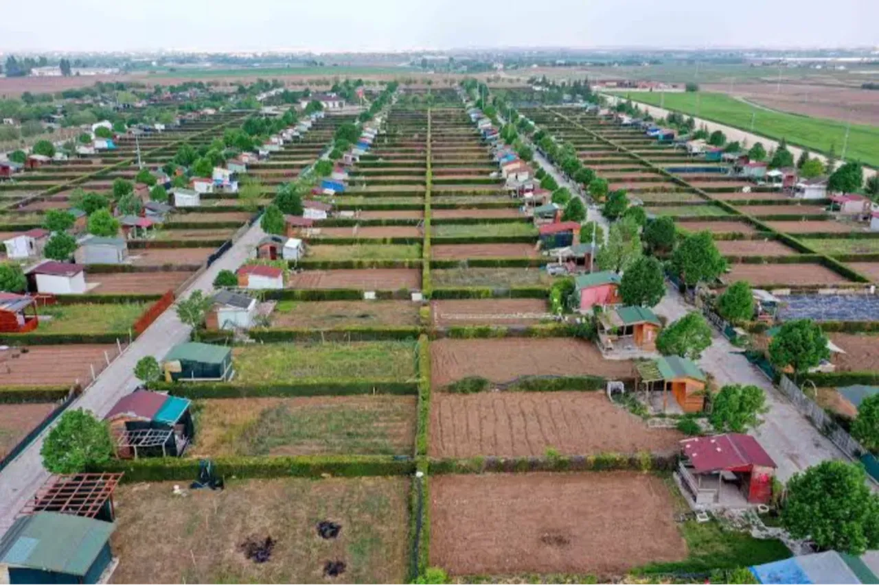 İstanbul'a 5 yeni ilçe mi geliyor? İslam Memiş'ten dikkat çeken yorum