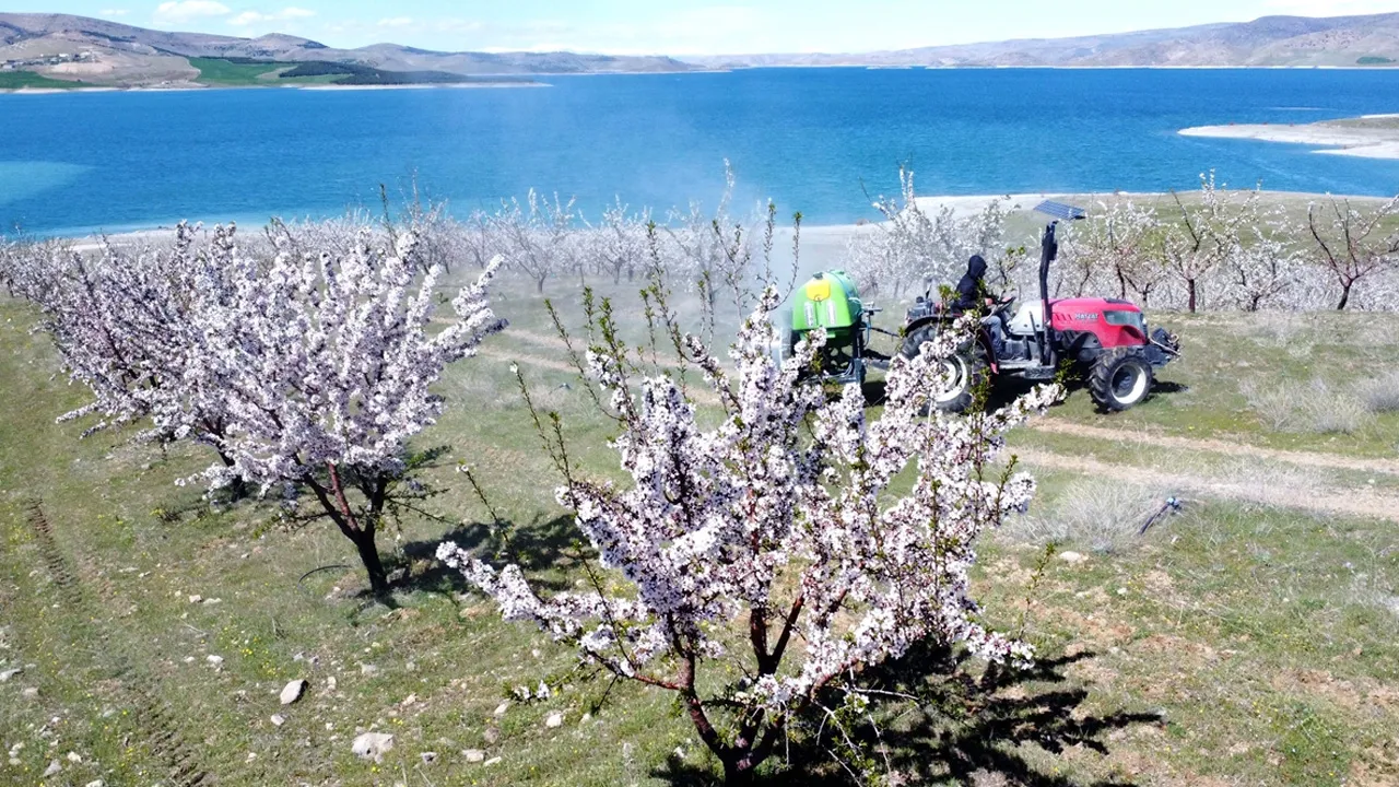 130 DÖNÜMDEN 25 TON ÜRÜN