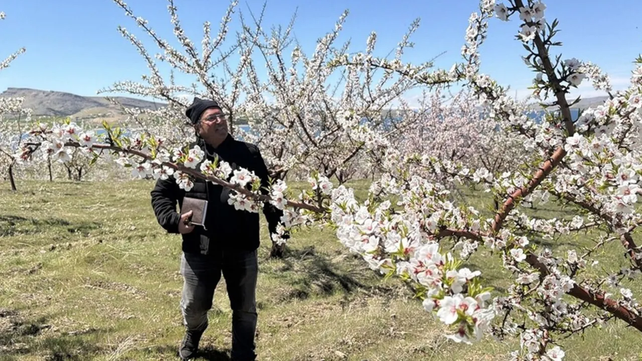 Yaptıkları hamle komşu köyleri de harekete geçirdi! 130 dönümden 25 ton ürün bekleniyor