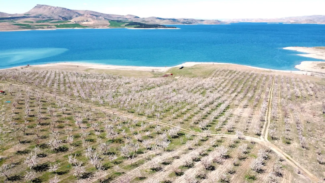 Yaptıkları hamle komşu köyleri de harekete geçirdi! 130 dönümden 25 ton ürün bekleniyor