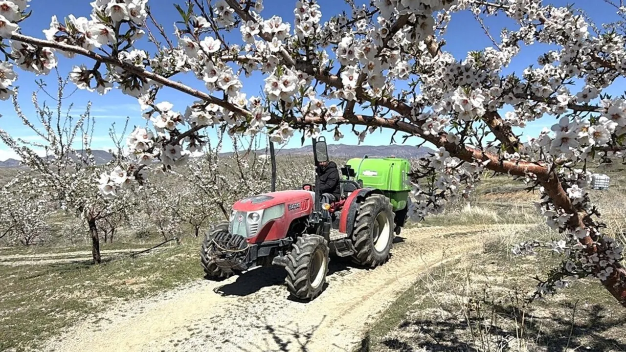 Yaptıkları hamle komşu köyleri de harekete geçirdi! 130 dönümden 25 ton ürün bekleniyor