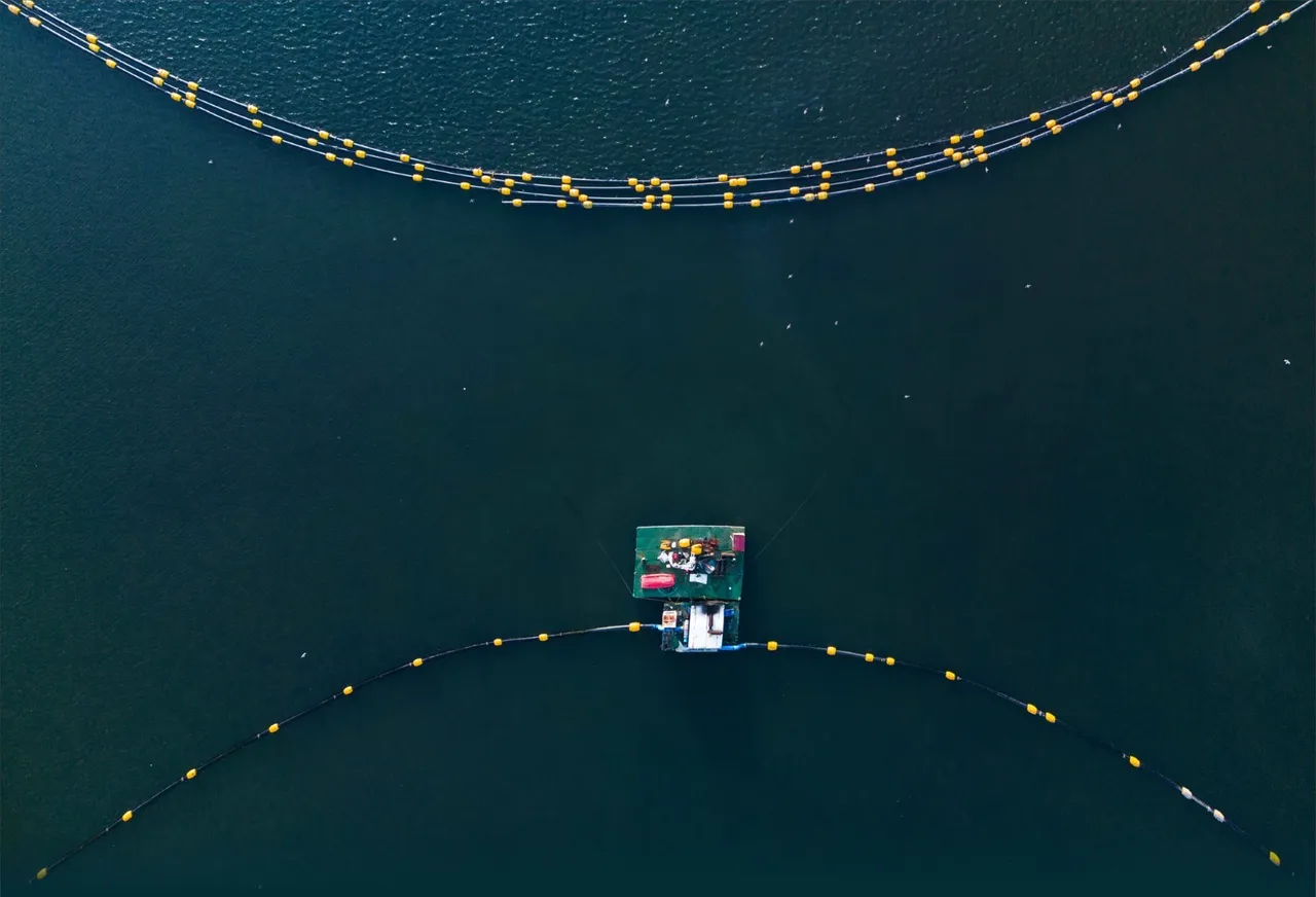 1,8 milyon metreküp çamur temizlendi! Deniz canlıları yeniden ortaya çıktı