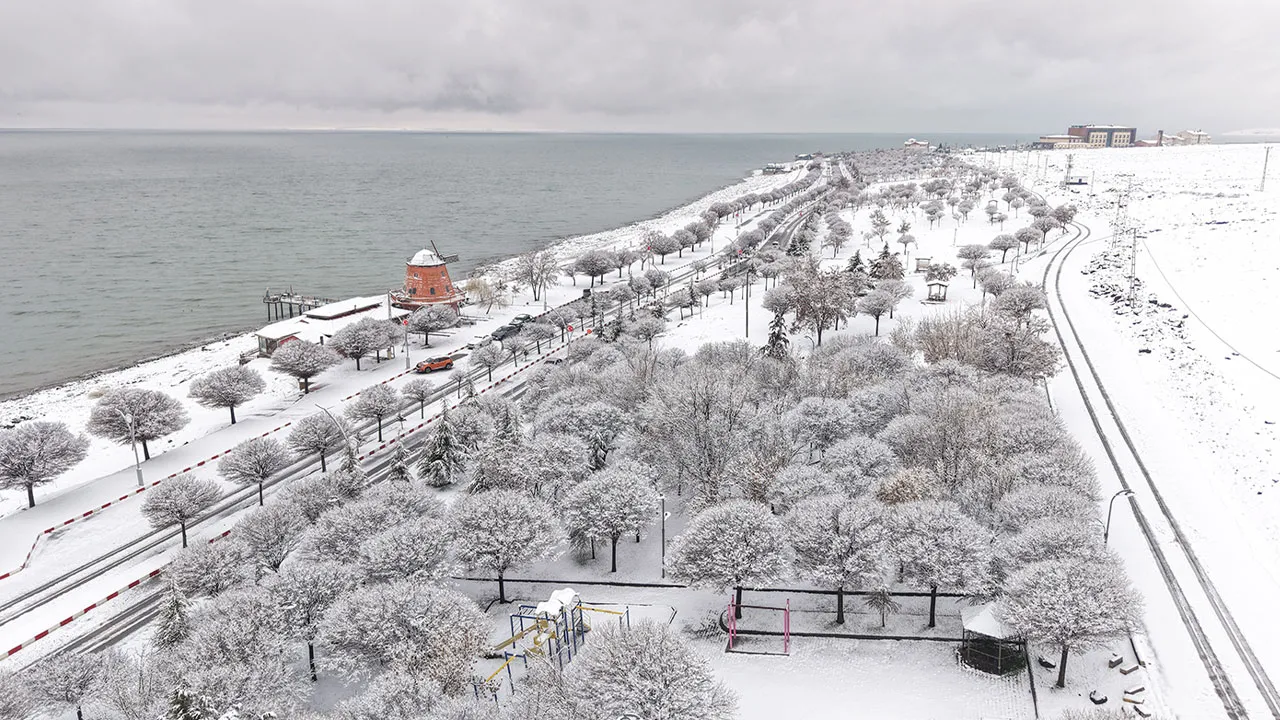 40 yıldır böylesi görülmedi! Vanlılar hayrete düştü, her yeri kapladı... 