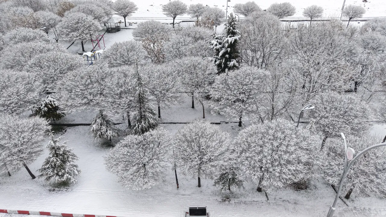 40 yıldır böylesi görülmedi! Vanlılar hayrete düştü, her yeri kapladı...
