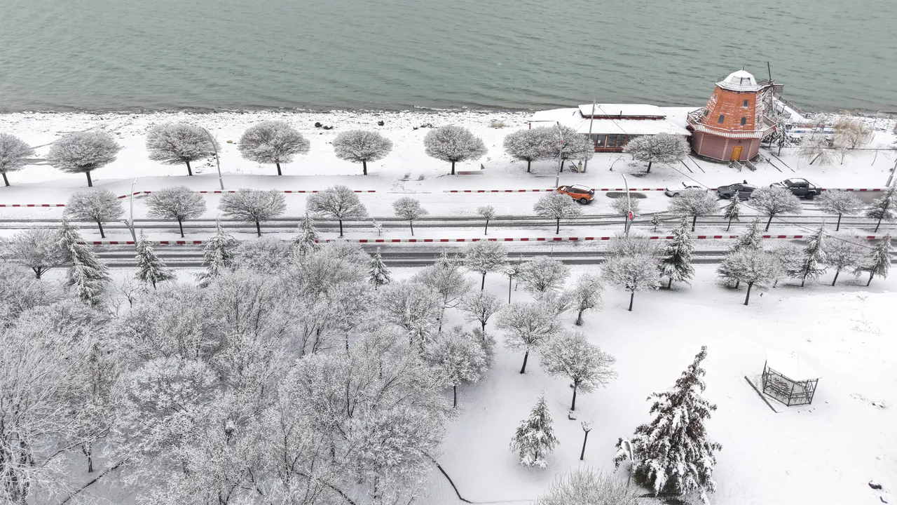 40 yıldır böylesi görülmedi! Vanlılar hayrete düştü, her yeri kapladı...