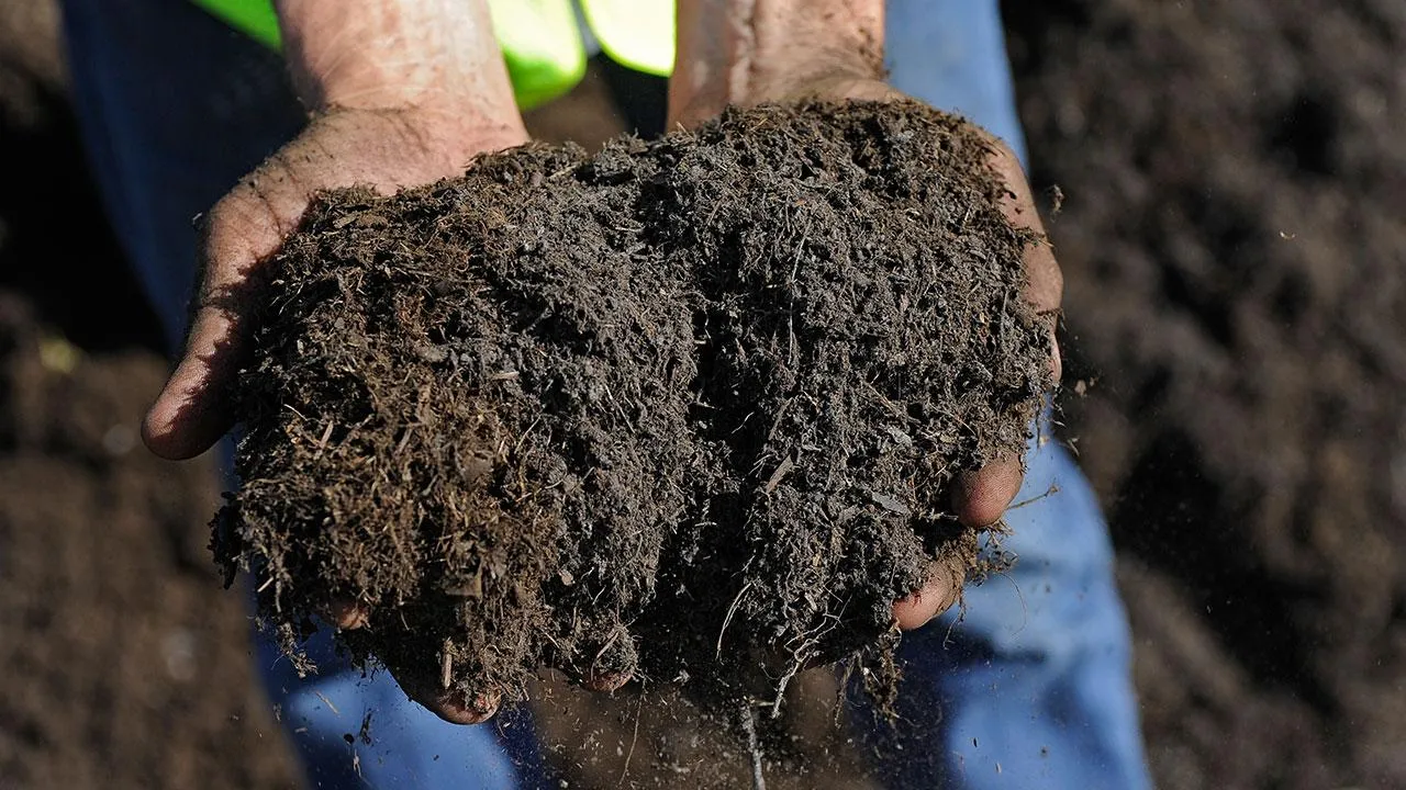 Çiftçi maliyet kıskacında: Bolluk yılında yokluk riski