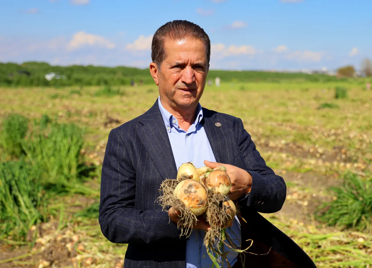 Hasat 2 hafta gecikmeli başladı! Çiftçi fiyatın en az 15 lira olmasını bekliyor: Yoksa zarar ederiz!