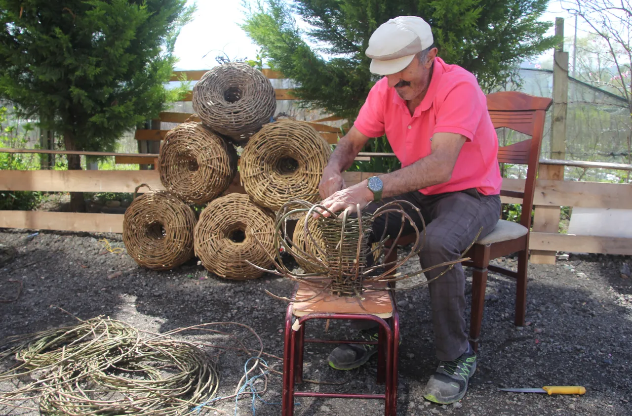 Köy köy gezip diken topluyor! 30 yıl çürümeyen ürünler 2 bin liradan havada kapılıyor