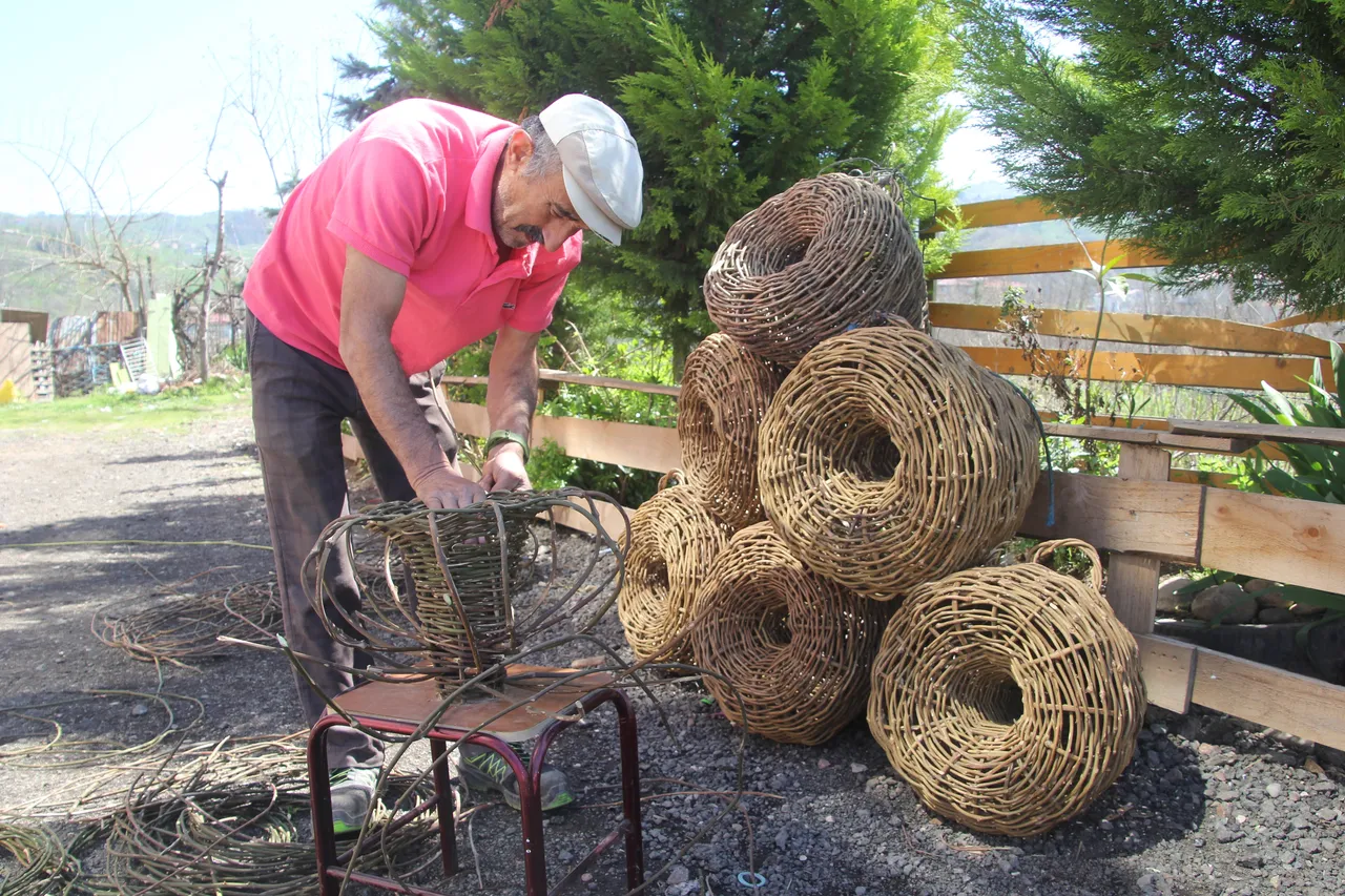 Köy köy gezip diken topluyor! 30 yıl çürümeyen ürünler 2 bin liradan havada kapılıyor
