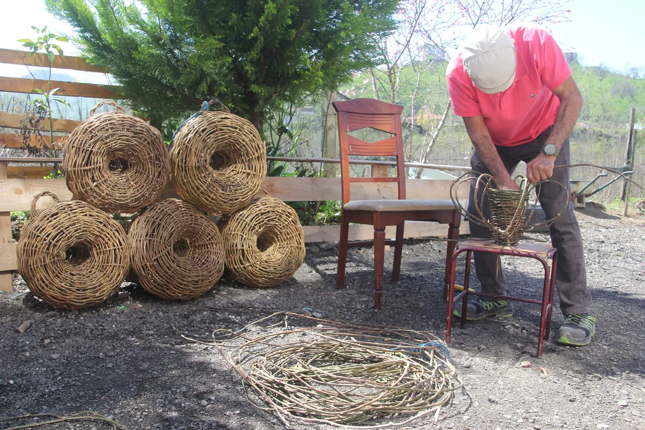 Köy köy gezip diken topluyor! 30 yıl çürümeyen ürünler 2 bin liradan havada kapılıyor