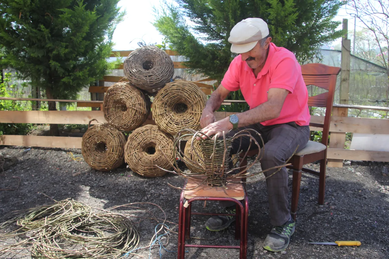 Köy köy gezip diken topluyor! 30 yıl çürümeyen ürünler 2 bin liradan havada kapılıyor