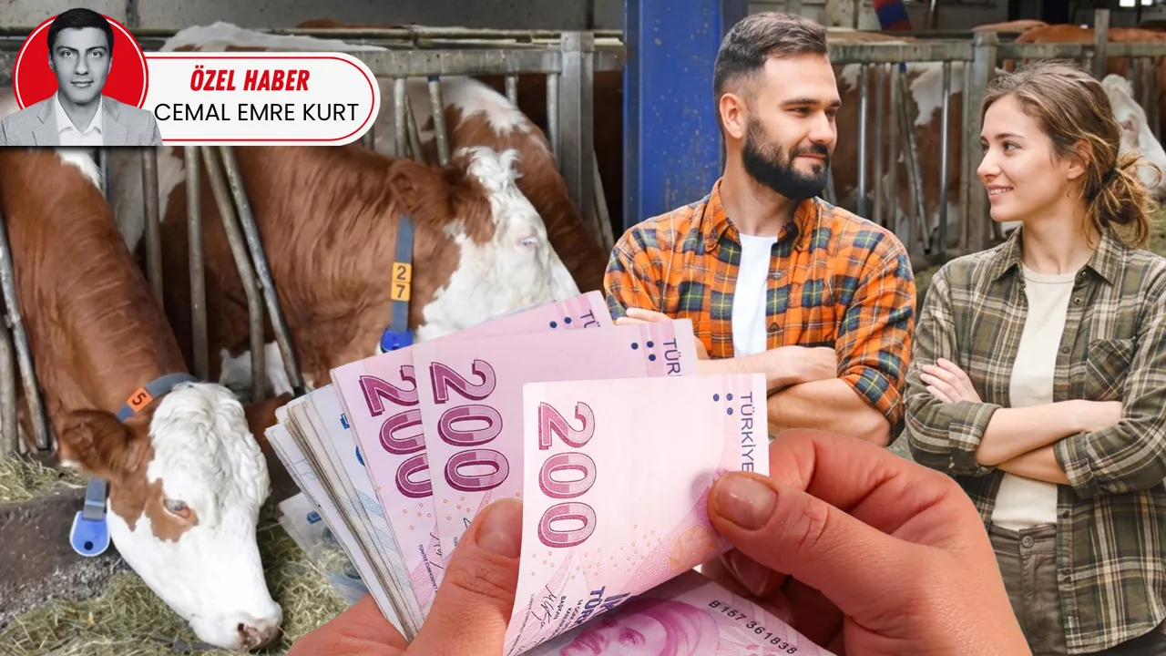 Köye dönüş için maaşlı çiftçilik: Burdur'daki örnek modelde hedef 40 bin genç, 40 bin çiftlik