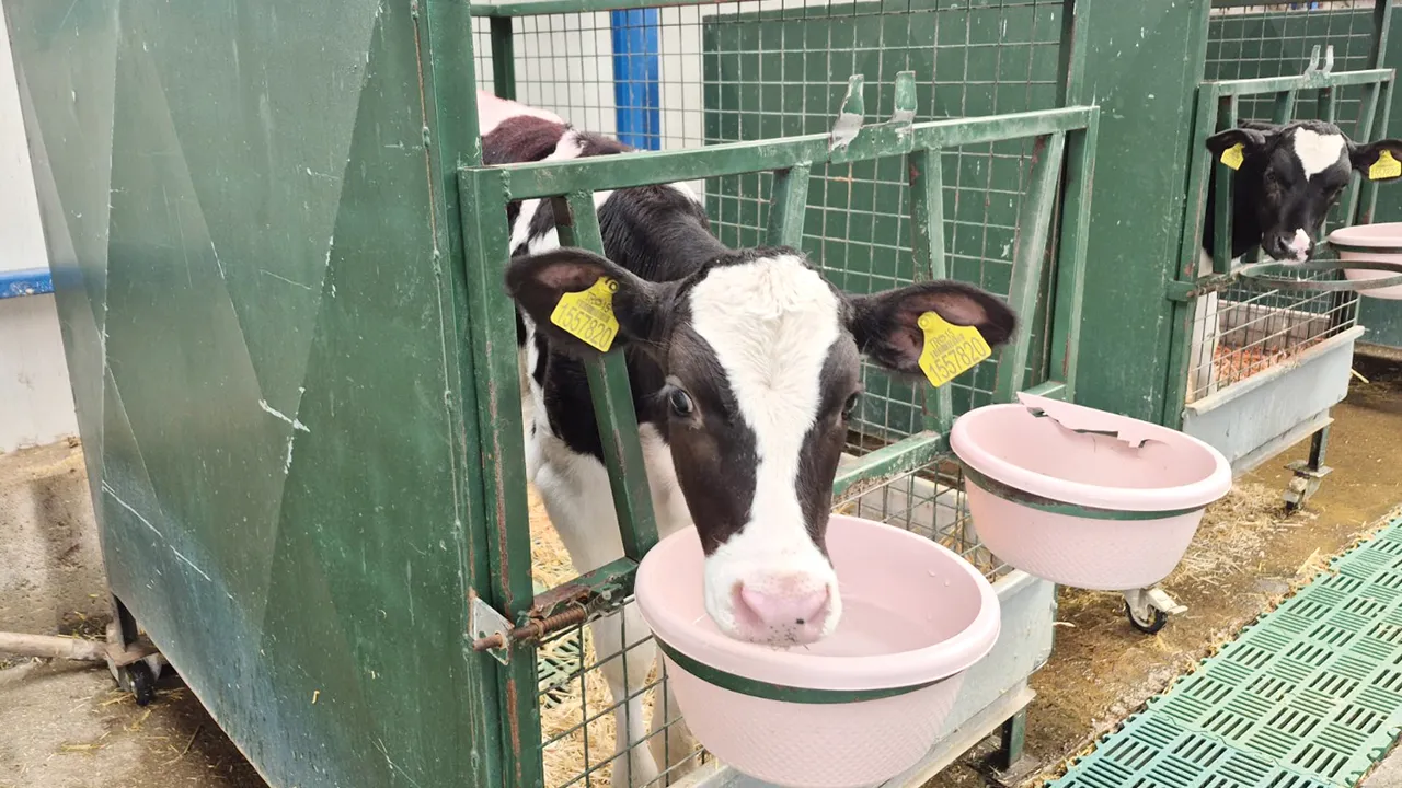 Köye dönüş için maaşlı çiftçilik: Burdur'daki örnek modelde hedef 40 bin genç, 40 bin çiftlik