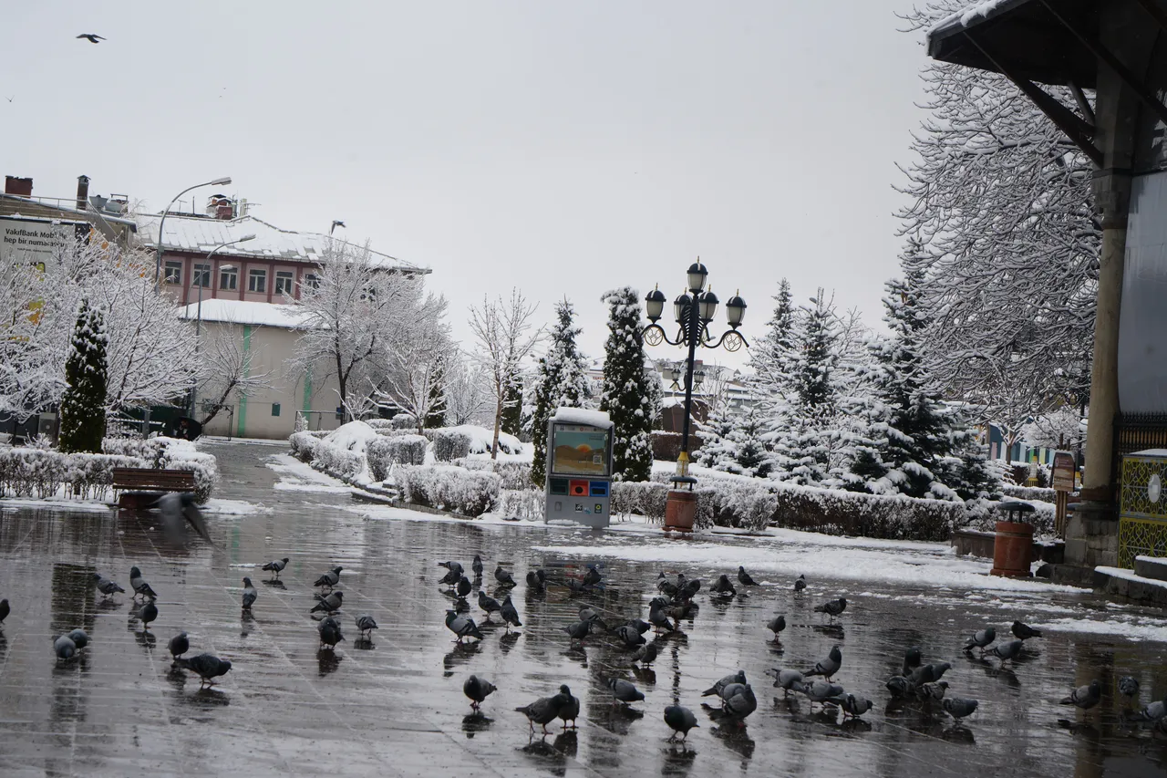 Ne atkı ne eldiven soğuğu kesemedi! Meteoroloji uzmanından yeni açıklama geldi: 4 ila 8 derece birden...