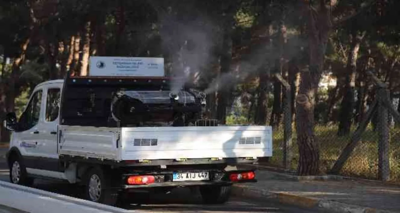 Sivrisinek, karasinek, kene… İstanbul’da kapsamlı mücadele başlıyor