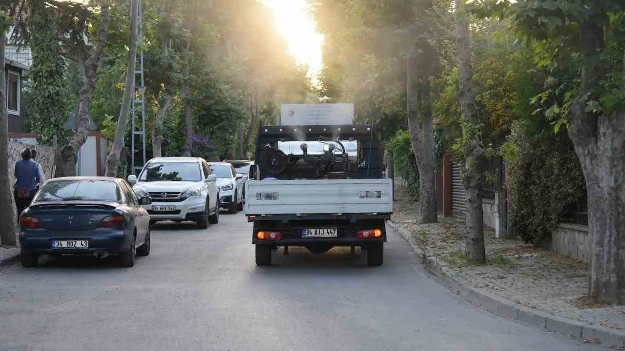 Sivrisinek, karasinek, kene… İstanbul’da kapsamlı mücadele başlıyor