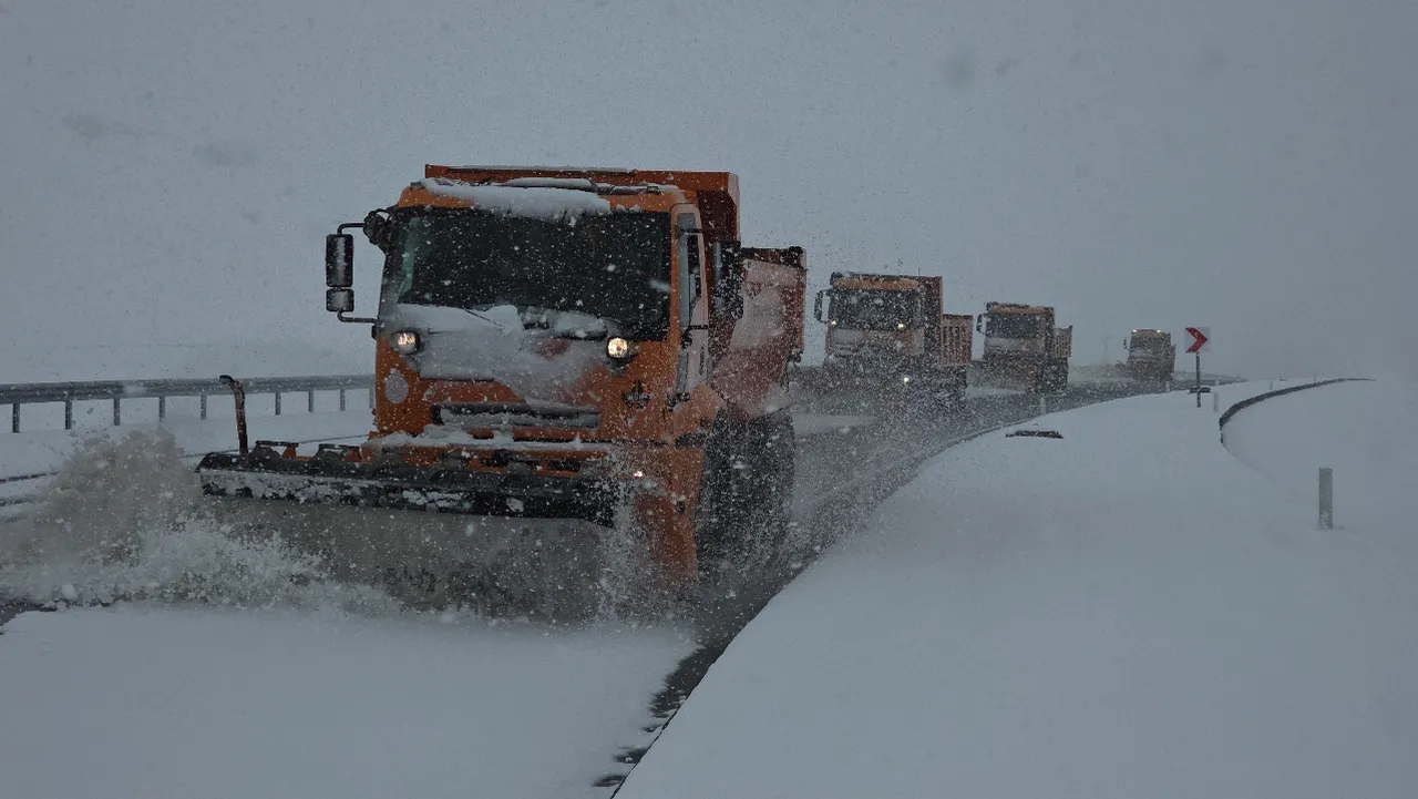 Van'da nisan sürprizi! Lapa lapa yağan kar kenti beyaza bürüdü