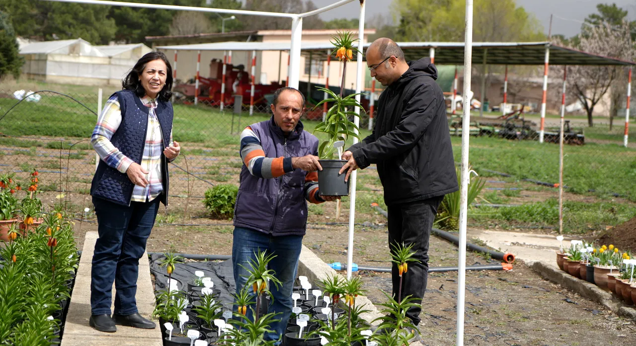 Yılda sadece 20 gün yaşıyor! Koparmanın cezası 700 bin TL