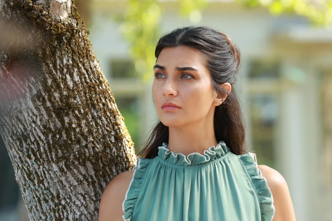 Zeytin Ağacı 3. sezon ne zaman? Yeni sezonda kadroya katılacak oyuncular