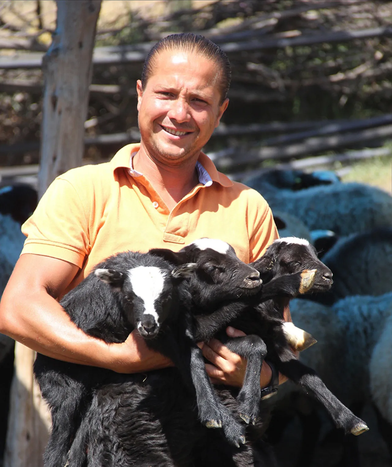 Şehirden köye göç: Sizce hangi çobanın hikâyesi daha güzel?