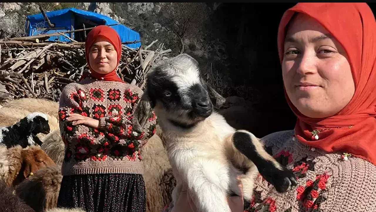 Şehirden köye göç: Sizce hangi çobanın hikâyesi daha güzel?