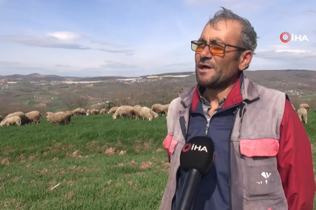 Şehirden köye göç: Sizce hangi çobanın hikâyesi daha güzel?