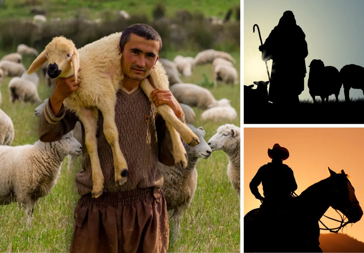 Şehirden köye göç: Sizce hangi çobanın hikâyesi daha güzel?