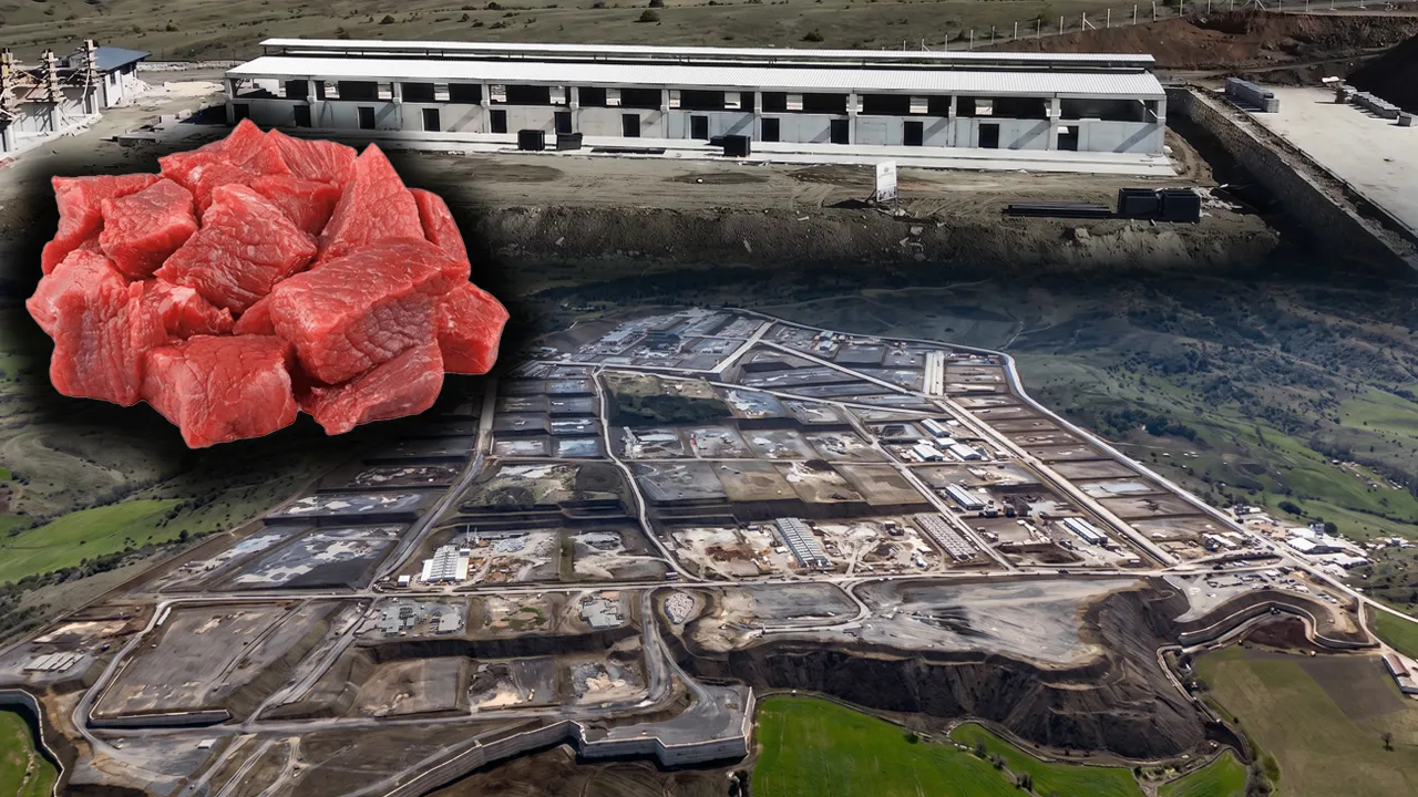 Türkiye'nin yeni kırmızı et üssü olacak! Fiyatları düşürecek projede geri sayım başladı