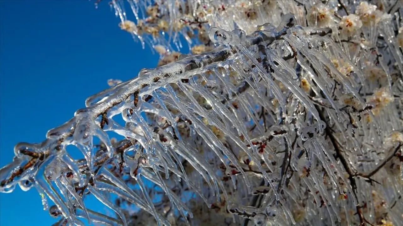 Zirai dona karşı kapsamlı reform önerisi: Tarım sigortası mecburi olmalı