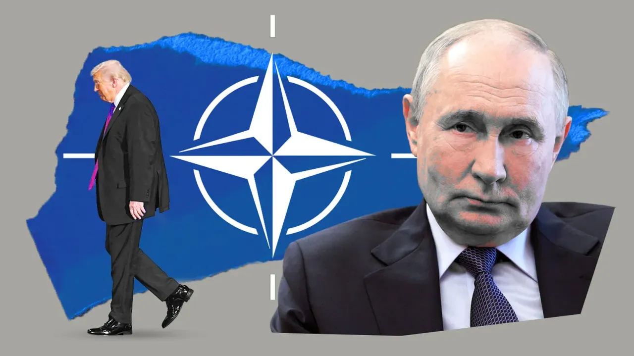 Avrupa’nın  Trump’sız  NATO  planı hazır!