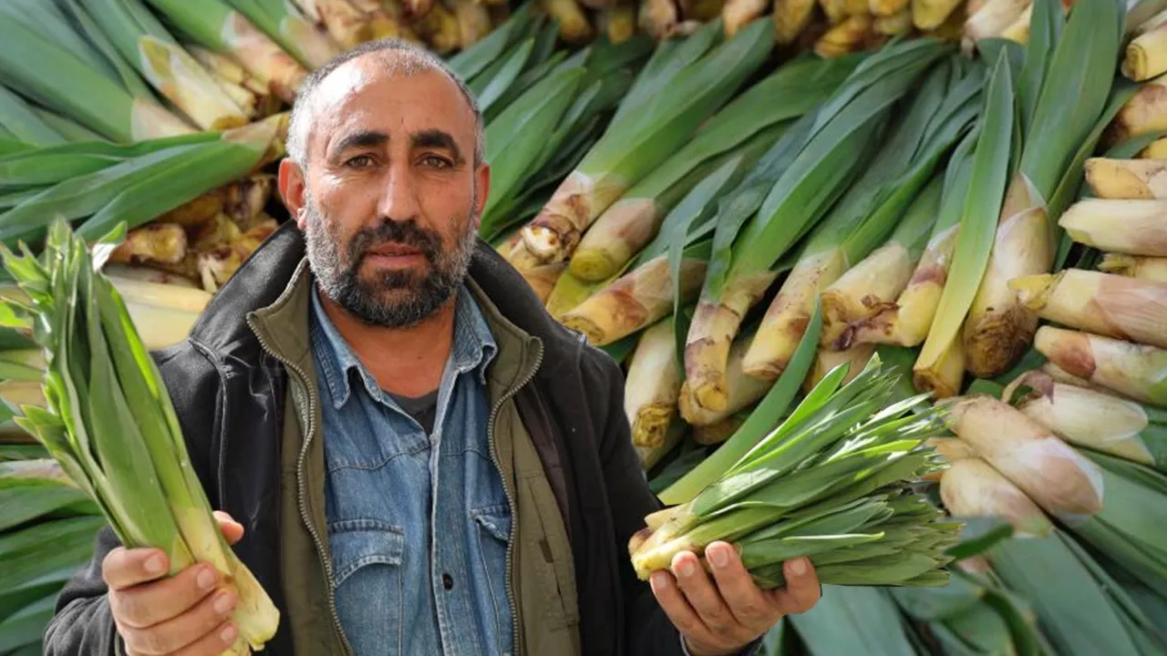 ‘Doğal antibiyotik’ diye biliniyor! Kilosu 100 lira, tezgaha gelir gelmez tükeniyor