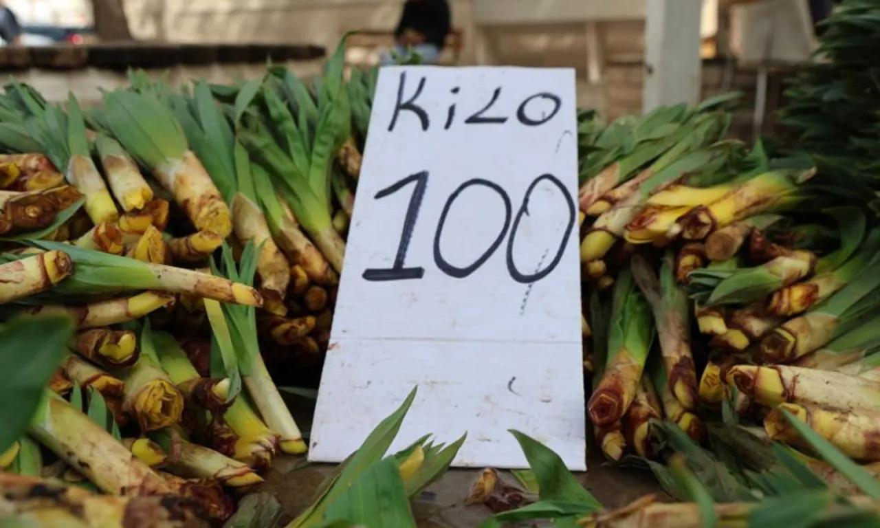 ‘Doğal antibiyotik’ diye biliniyor! Kilosu 100 lira, tezgaha gelir gelmez tükeniyor