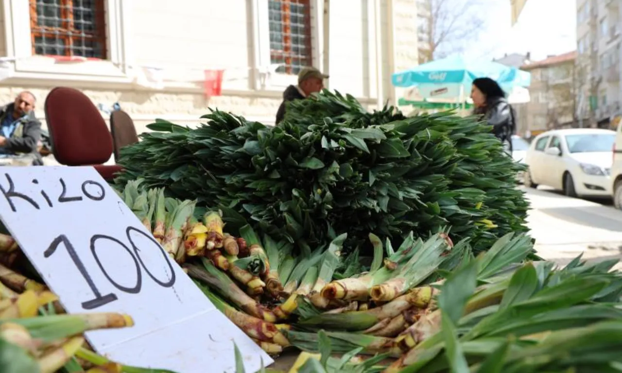 ‘Doğal antibiyotik’ diye biliniyor! Kilosu 100 lira, tezgaha gelir gelmez tükeniyor