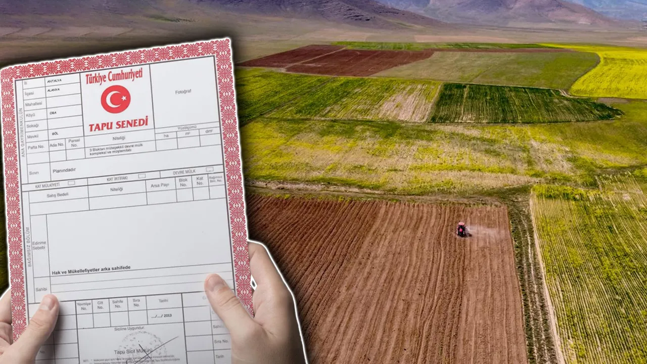Doğudan arazi alan kazandı! Yıllık primler %75’e kadar yükseldi