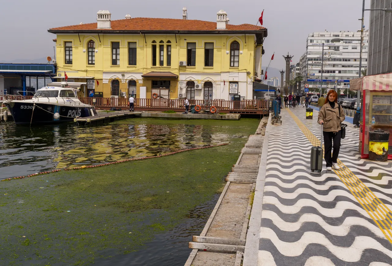İzmir’i sardı! Sahilin her yerinde yosun alarmı! Su görünmez hale geldi, 10 günde 20 ton çıktı