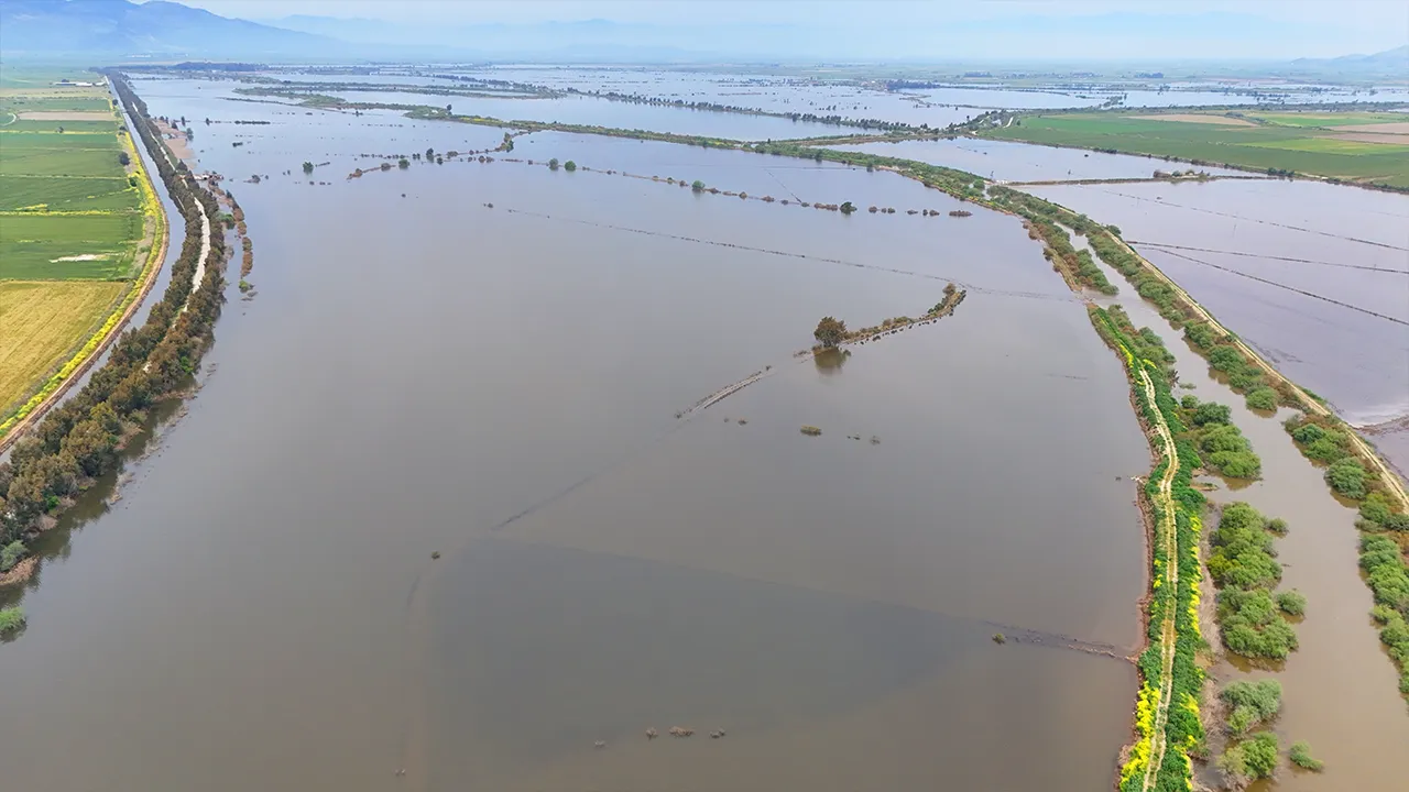 Kuraklık alarmı verilen Aydın'da sel felaketi! Tarım arazileri sular altında kaldı 