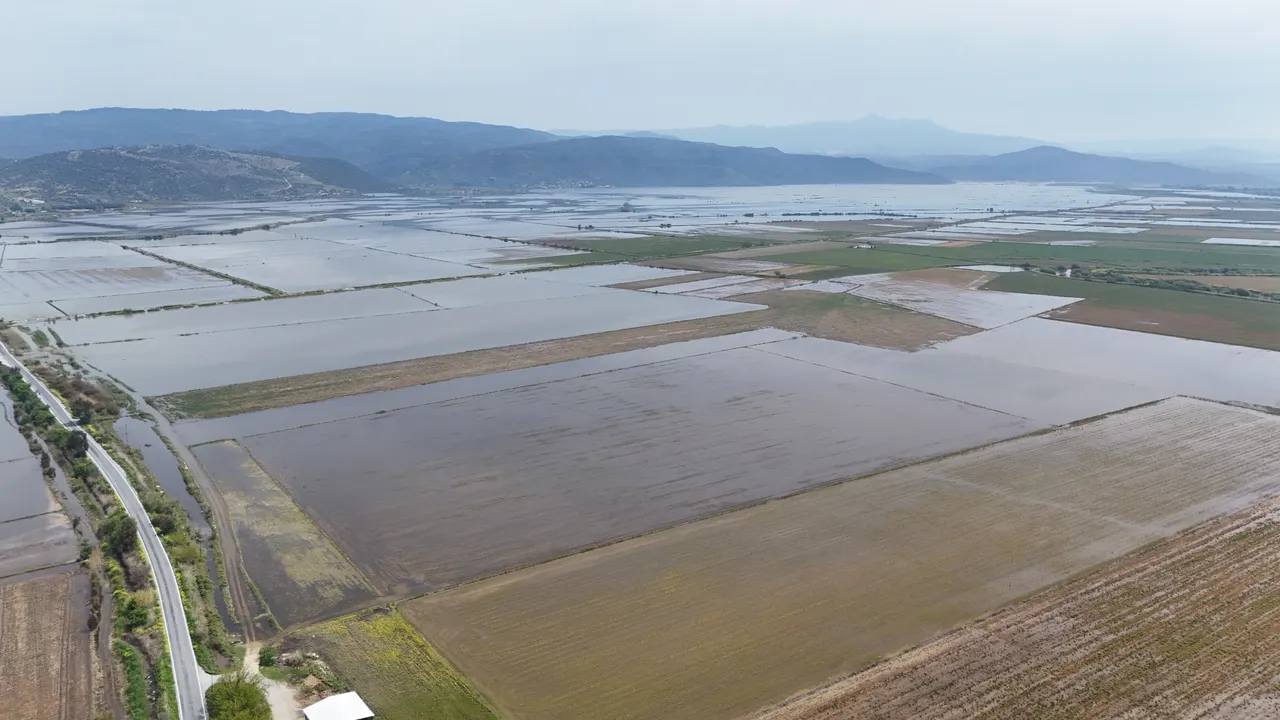 Kuraklık alarmı verilen Aydında sel felaketi! Tarım arazileri sular altında kaldı