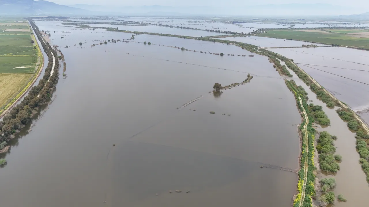 Kuraklık alarmı verilen Aydında sel felaketi! Tarım arazileri sular altında kaldı