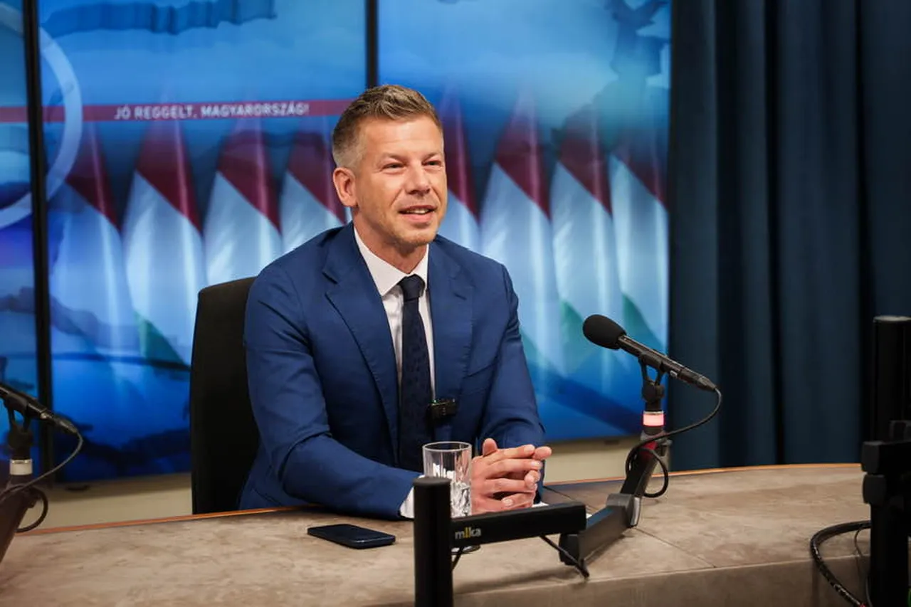 Macaristan’ın müstakbel Başbakanı Magyar'dan Cumhurbaşkanı Erdoğan'a sürpriz davet