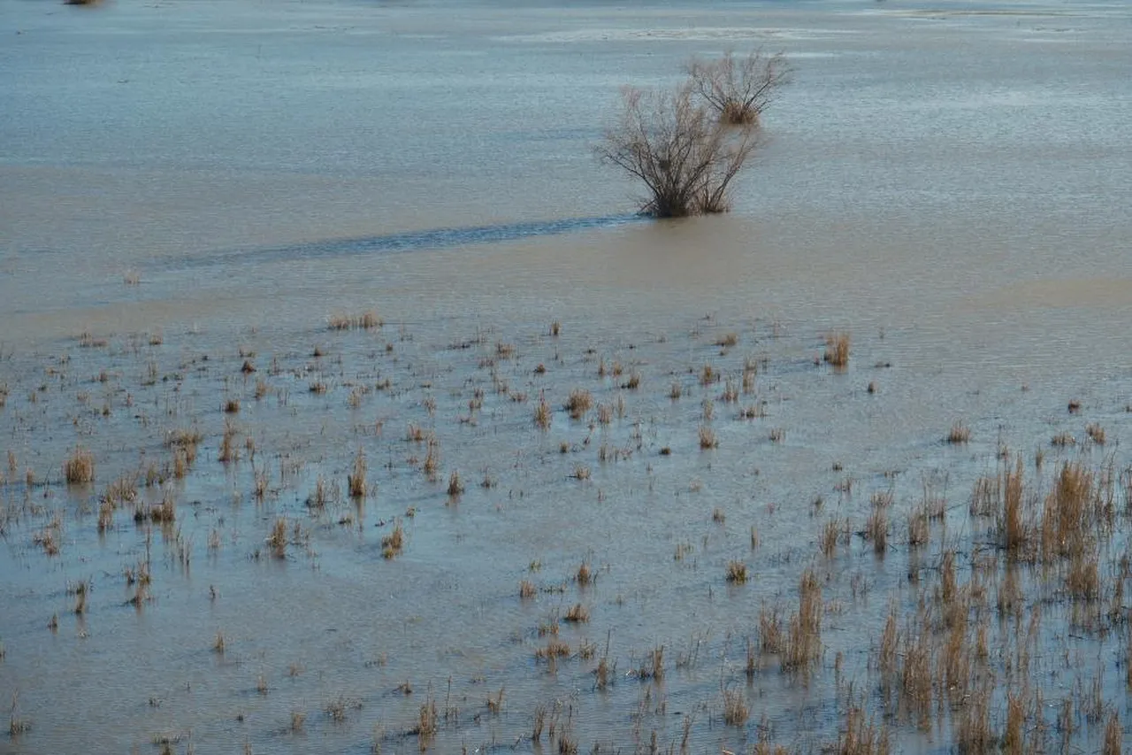 Nasreddin Hoca'nın maya çaldığı gölde yıllar sonra sevindiren görüntü