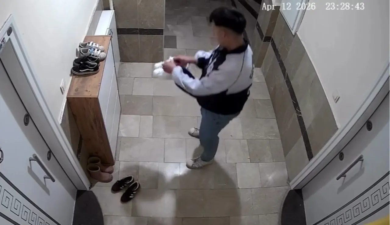 Tokat'ta kapı önünden ayakkabı çalarak kaçan hırsızın o anları kameraya yansıdı