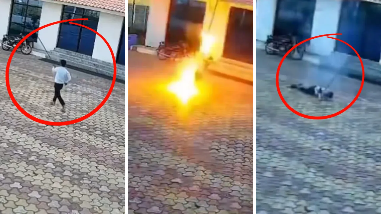 Hindistan'da acı olay! Maymunu korkutmak isterken canından oldu