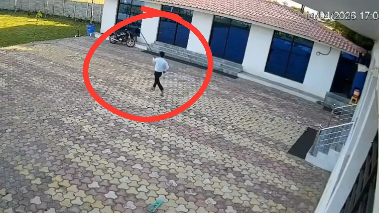 Hindistanda acı olay! Maymunu korkutmak isterken canından oldu