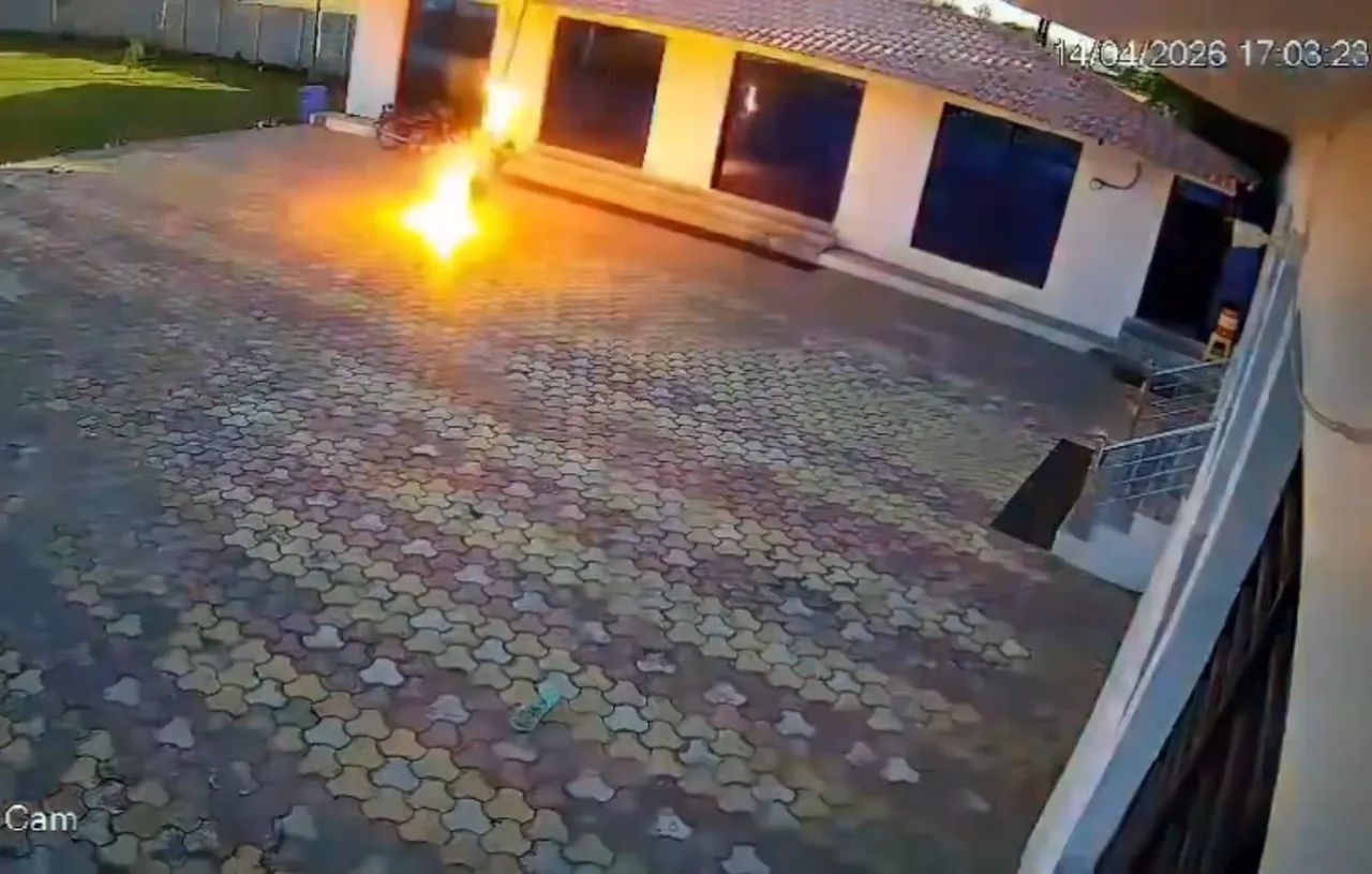 Hindistanda acı olay! Maymunu korkutmak isterken canından oldu