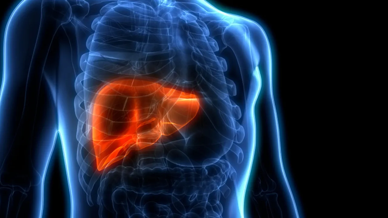 Karaciğer yağlanmasında endişe verici tablo: 1,8 milyar kişi risk altında