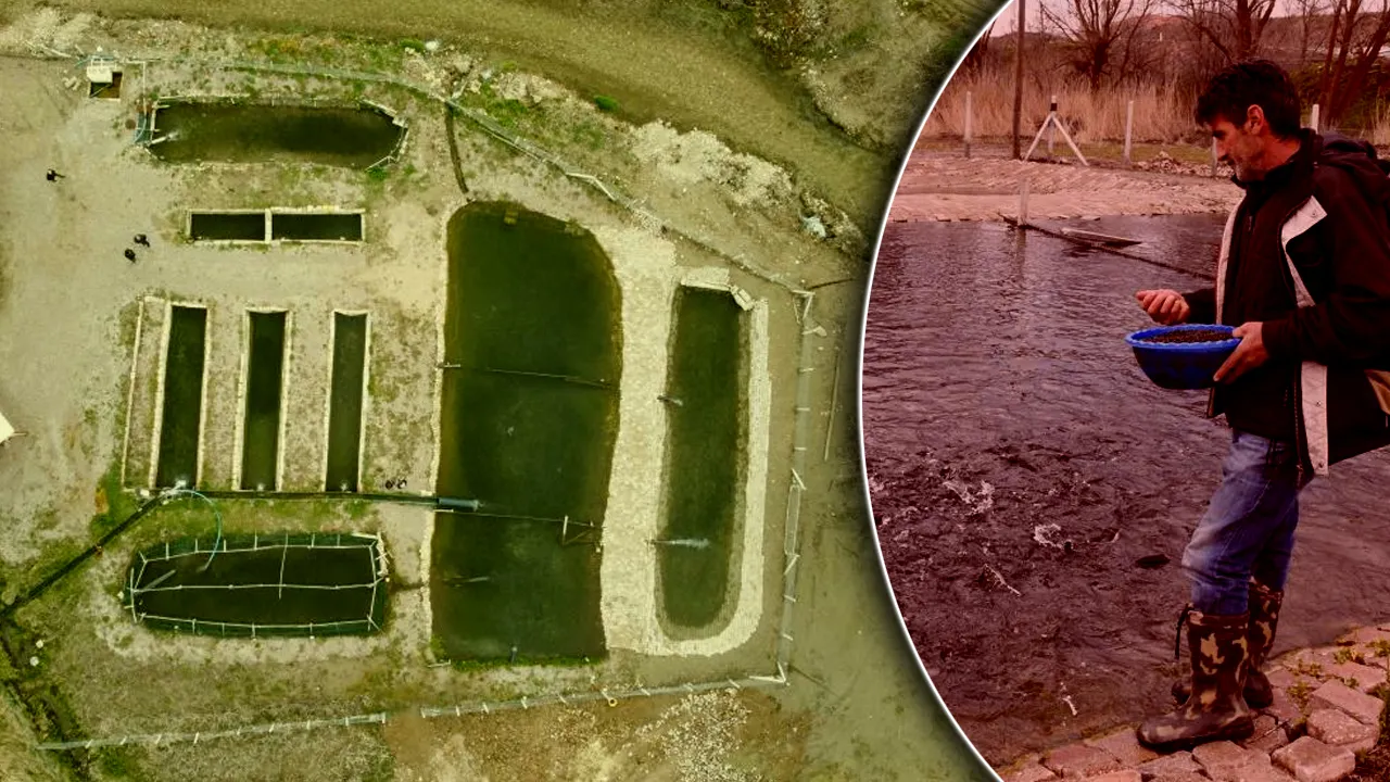 Kaynak suyunda yetişiyor, canlı canlı satılıyor! Kilosu 300 liraya kapış kapış gidiyor