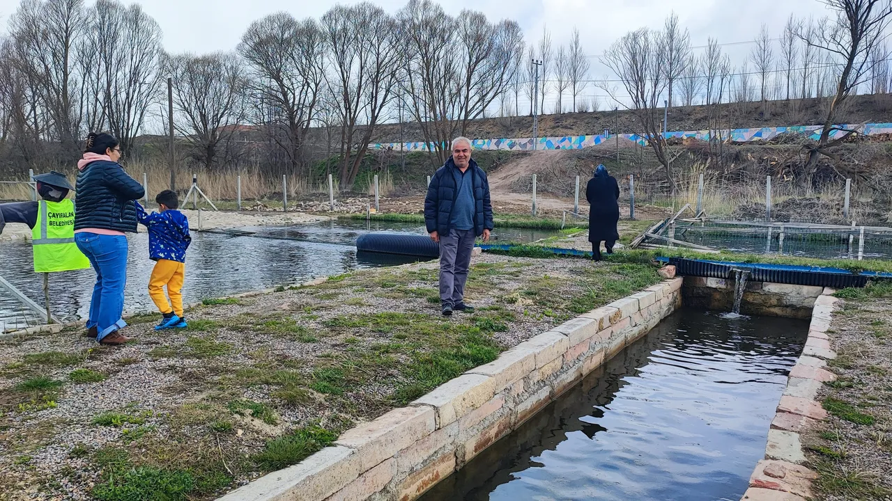 Kaynak suyunda yetişiyor, canlı canlı satılıyor! Kilosu 300 liraya kapış kapış gidiyor