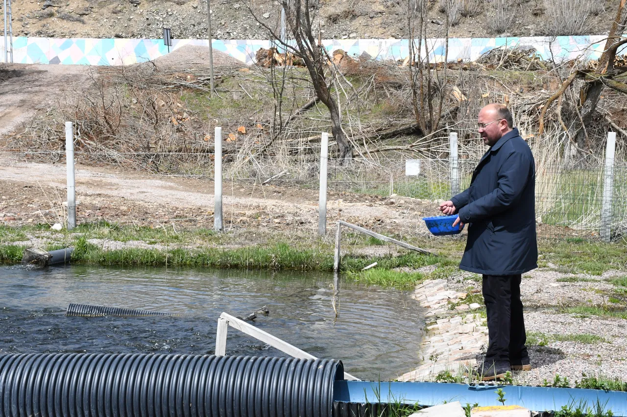 Kaynak suyunda yetişiyor, canlı canlı satılıyor! Kilosu 300 liraya kapış kapış gidiyor